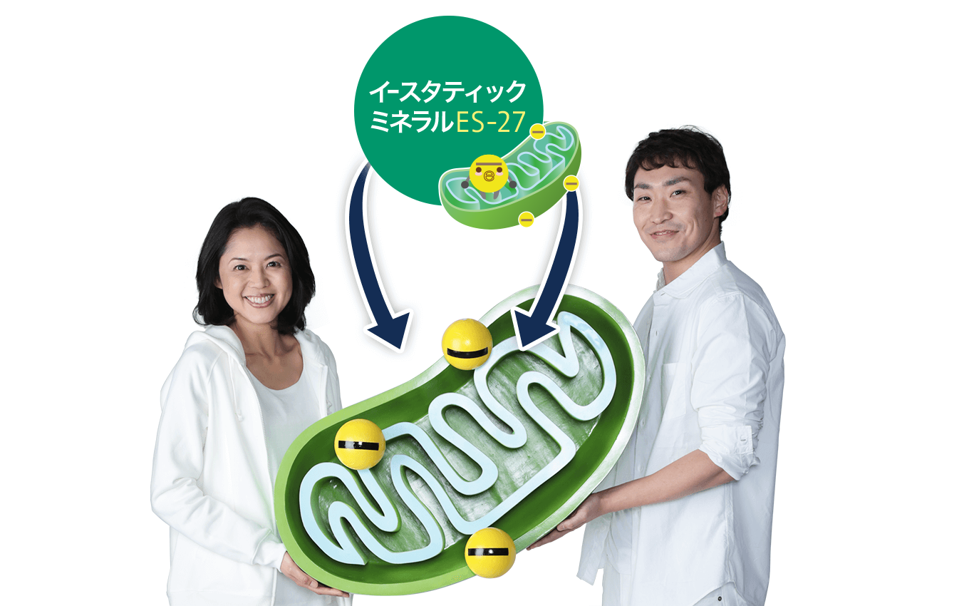 ミトコンドリアを活性するイースタティックミネラル
