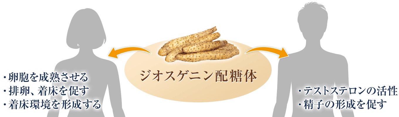 ジオスゲニン配糖体