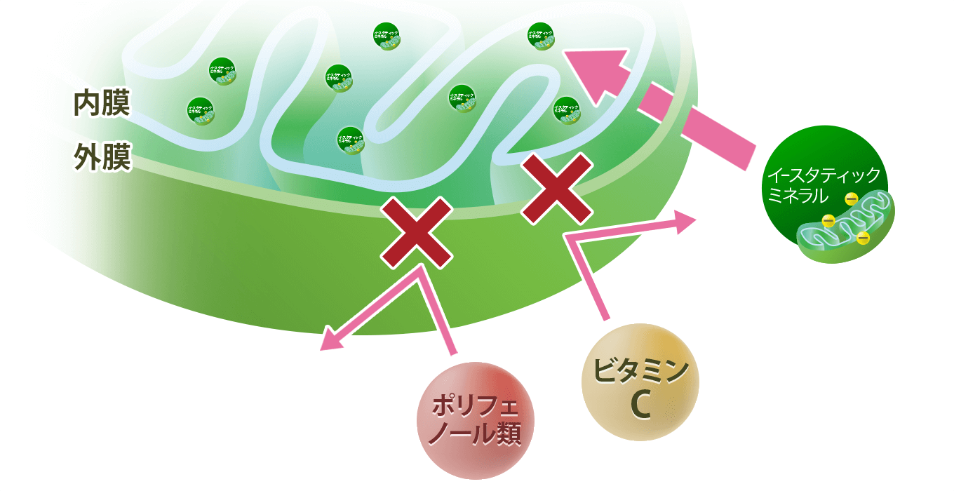 イースタティックミネラルの酸化還元力