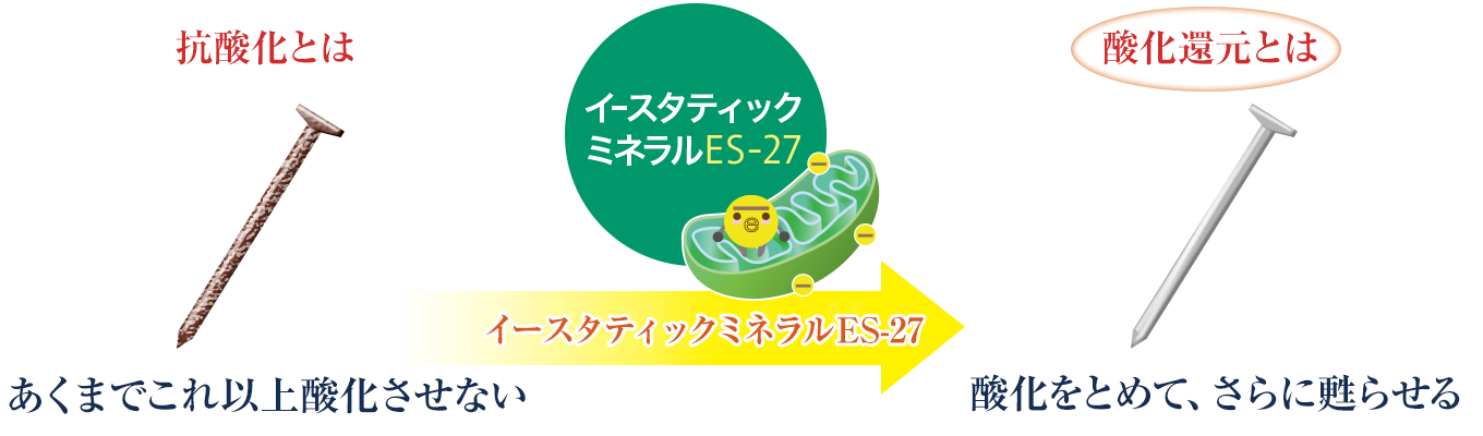 イースタティックミネラルの酸化還元力